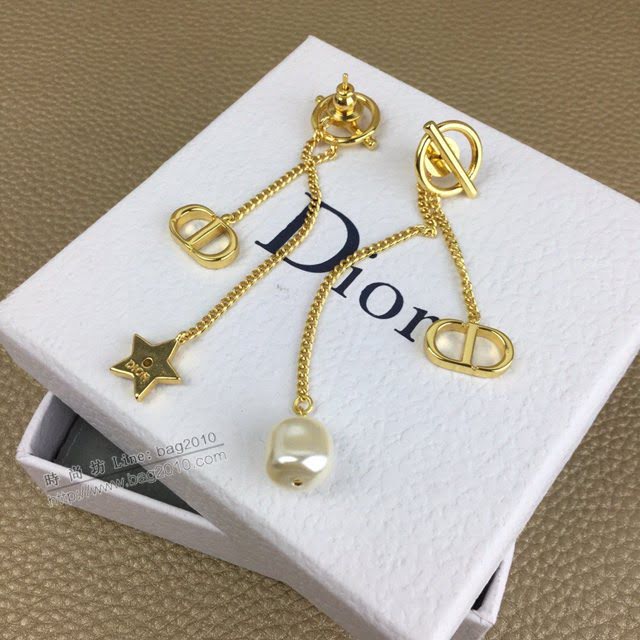 Dior飾品 迪奧經典熱銷款耳環  zgd1015